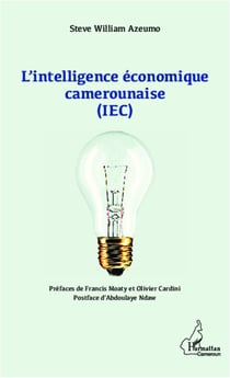 L'intelligence économique camerounaise (IEC)