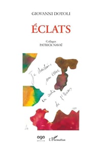 Éclats - collages de Patrick Navaï