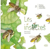 21 petites histoires naturelles : Les insectes