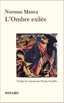 L'ombre exilée : Roman-collage