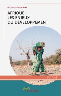 Afrique : les enjeux du developpement