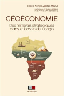 Géoéconomie : Des minerais stratégiques dans le Bassin du Congo