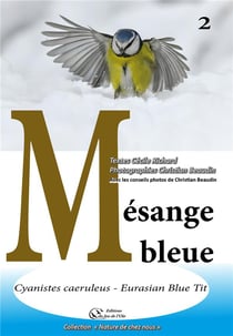 Mesange bleue