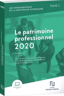 LE PATRIMOINE PROFESSIONNEL 2020