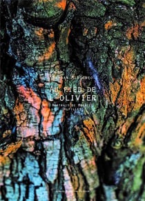 Au pied de l'olivier - portrait de Mouriès, Alpilles