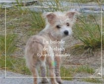 La balade de Nelson