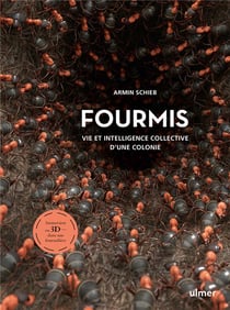 Fourmis : vie et intelligence collective d'une colonie - immersion en 3D dans une fourmilière