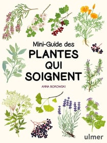 Mini-guide des plantes qui soignent