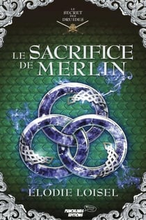 Le secret des Druides, tome 4 : Le sacrifice de Merlin