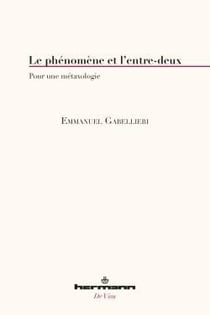 L'entre-deux - pour une métaxologie