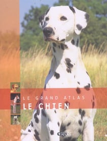 Le chien
