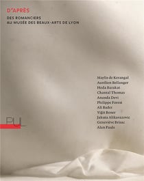 D'apres - des romanciers au musee des beaux-arts de lyon