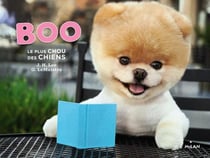 Boo - le plus chou des chiens