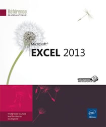 Excel 2013