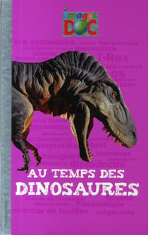 Au temps des dinosaures