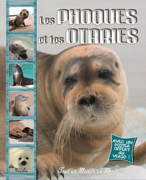 Tout un monde en photos - les phoques et les otaries