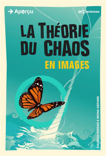 La théorie du chaos en images