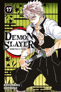 Demon slayer Tome 17