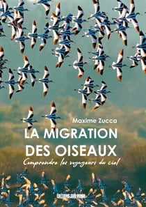 La migration des oiseaux : comprendre les voyageur