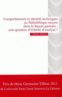 Comportements et identités techniques au paléolithique moyen - une question d'échelle ?