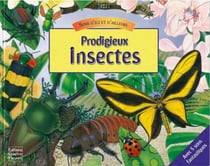 Prodigieux insectes