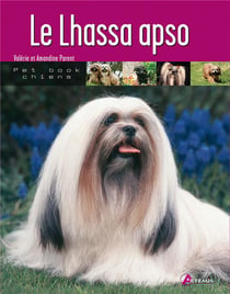 Lhassa apso