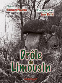 Drôle de limousin
