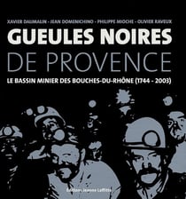 Gueules noires de provence - le bassin minier des bouches-du-rhône (1744-2003)