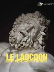 Le Laocoon entre Michel-Ange et Raphaël : Un ressort de l'émulation