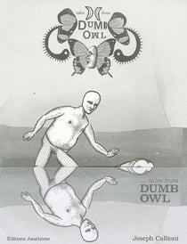 Tales from dumb owl