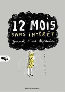 12 mois sans interet - journal d'une depression