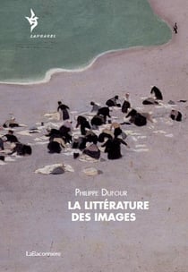 La littérature des images