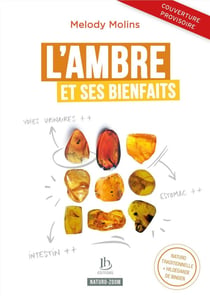 L'ambre et ses bienfaits : naturopathie classique et Hildegarde de Bingen