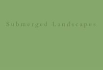 Submerged landscapes - a pinhole photographic tale