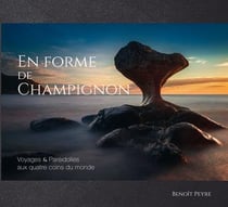 En forme de champignon : voyages & paréidolies aux quatre coins du monde