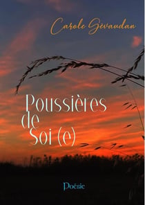 Poussières de soi(e)