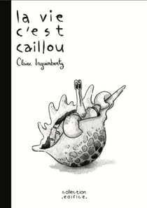 La vie c'est caillou - du debut a la fin