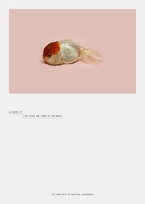 Robert zhao renhui a guide to the flora and fauna of the world