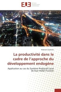 La productivité dans le cadre de l'approche du développement endogène - application au cas du système productif local de Ksar-Hellal (Tunisie)