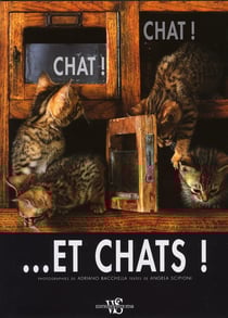 Chat ! chat ! ...et chats !