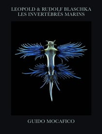 Leopold & Rudolf Blaschka, les invertébrés marins