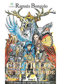 Celtillos, le petit druide Tome 1 - l'armée des neiges et de la nuit