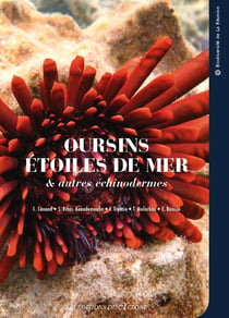 Oursins, étoiles de mer, et autres échinodermes de La Réunion