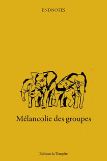 Mélancolie des groupes