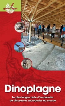 Dinoplagne : La plus longue piste d'empreintes de dinosaures sauropodes au monde