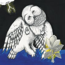 Magnolia electric co. (10-year anniversary edition)