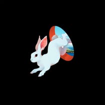 Animal Hospital - édition colorée