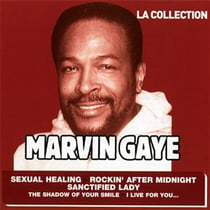 La collection : Marvin Gaye