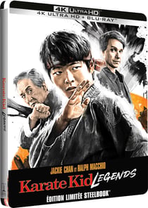 Karate Kid : Legends