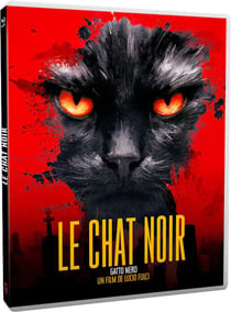 Le Chat noir